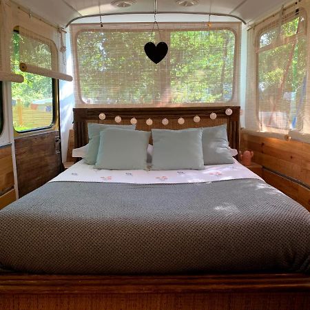 Magic Roof Top Bus With Big Bath In The Tree Forest! Mimizan-Plage Eksteriør billede