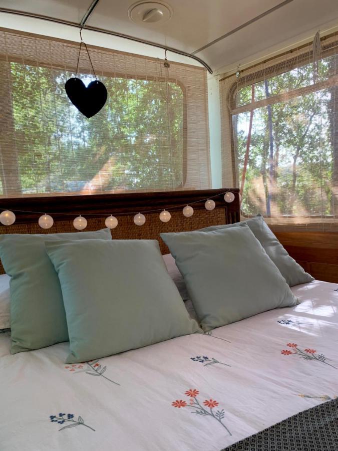 Magic Roof Top Bus With Big Bath In The Tree Forest! Mimizan-Plage Eksteriør billede