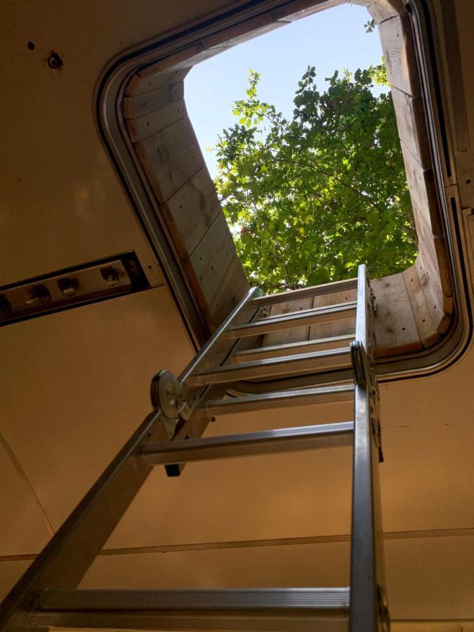 Magic Roof Top Bus With Big Bath In The Tree Forest! Mimizan-Plage Eksteriør billede